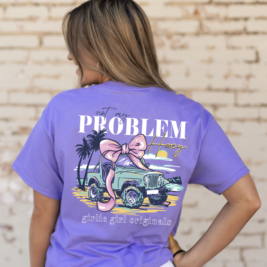 2742 Not My Problem-Violet
