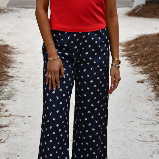 LM-PA-1002 NAVY STAR PANT